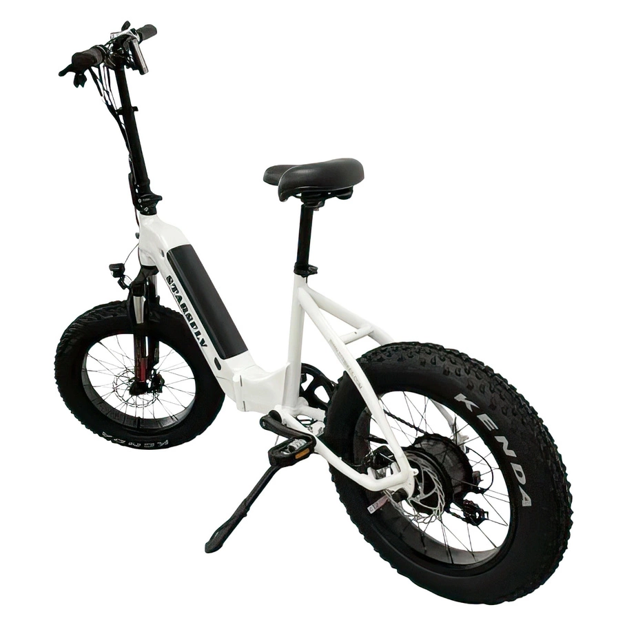 Starsfly Step-Through Electric Bike