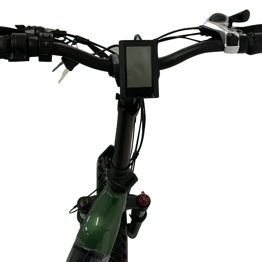 Starsfly Step-Through Electric Bike