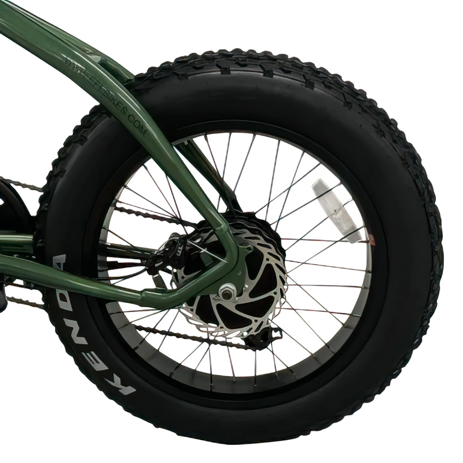 Starsfly Step-Through Electric Bike