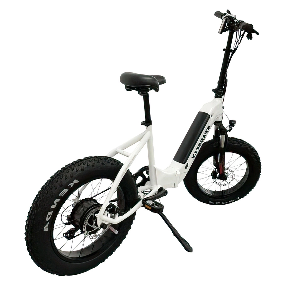 Starsfly Step-Through Electric Bike
